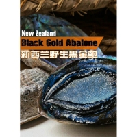 塔斯曼新西兰野生黑金鲍