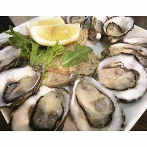 南澳生蚝一打12只