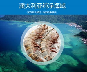 澳洲王虾king prawns 500g/袋