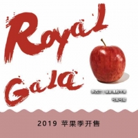 RolayGala皇家嘎啦果25个装