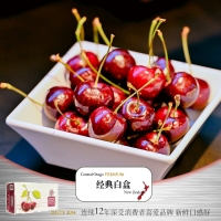 【2026季火爆接单中】新西兰南岛顶级车厘子CO车厘子