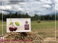 【2026季火爆接单中】新西兰南岛顶级车厘子CO车厘子